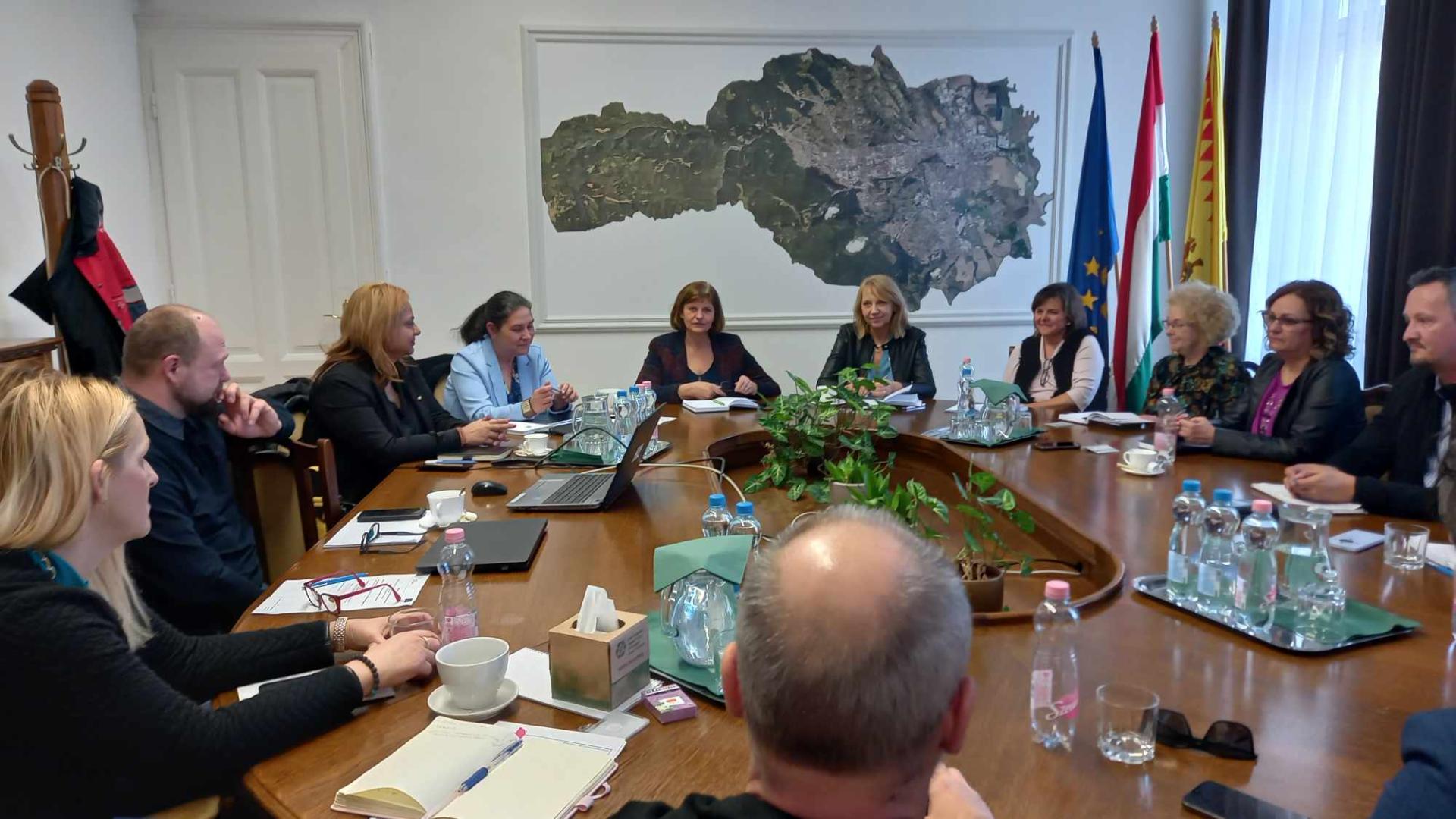 Meeting of the Social Innovation Council