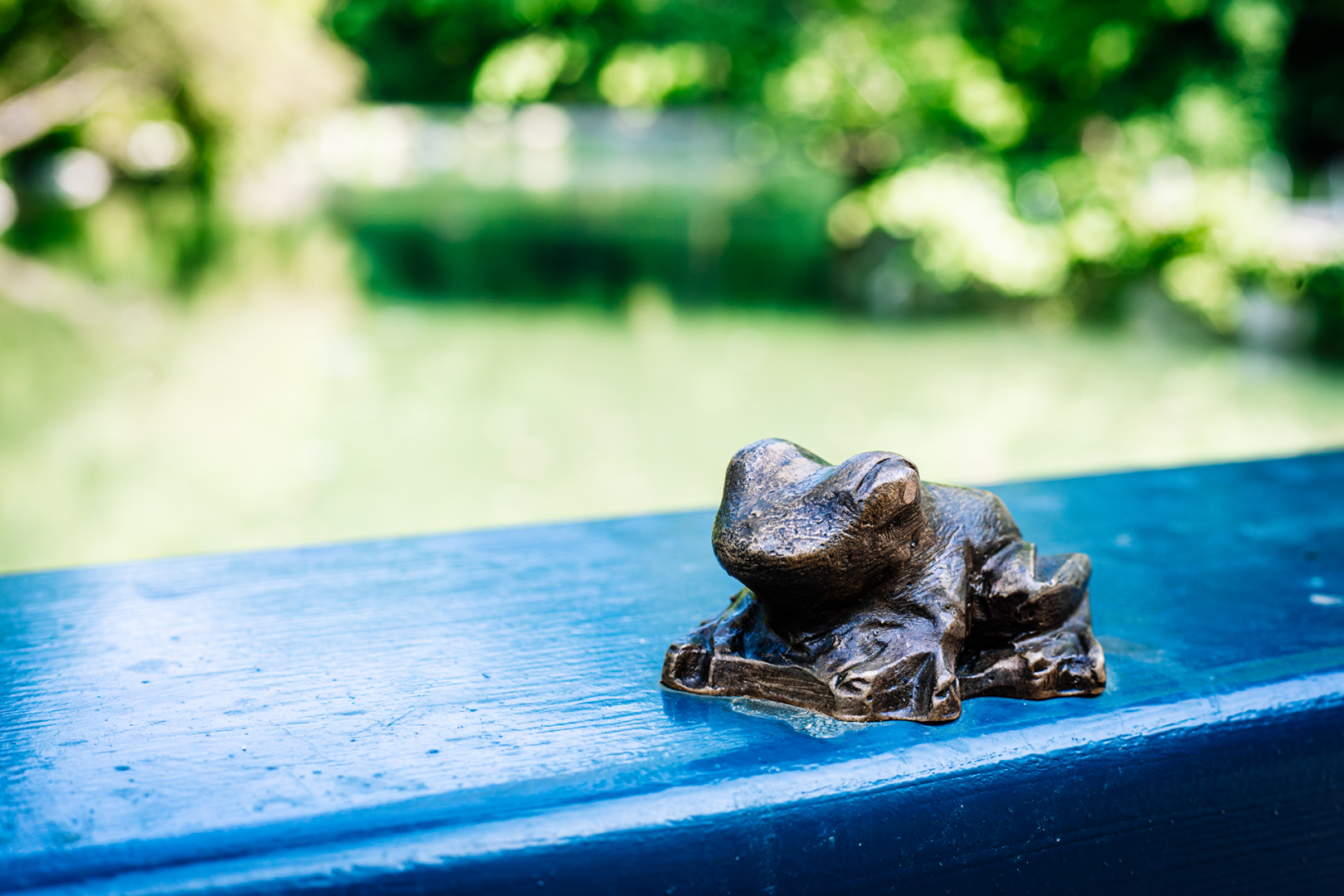 Frog