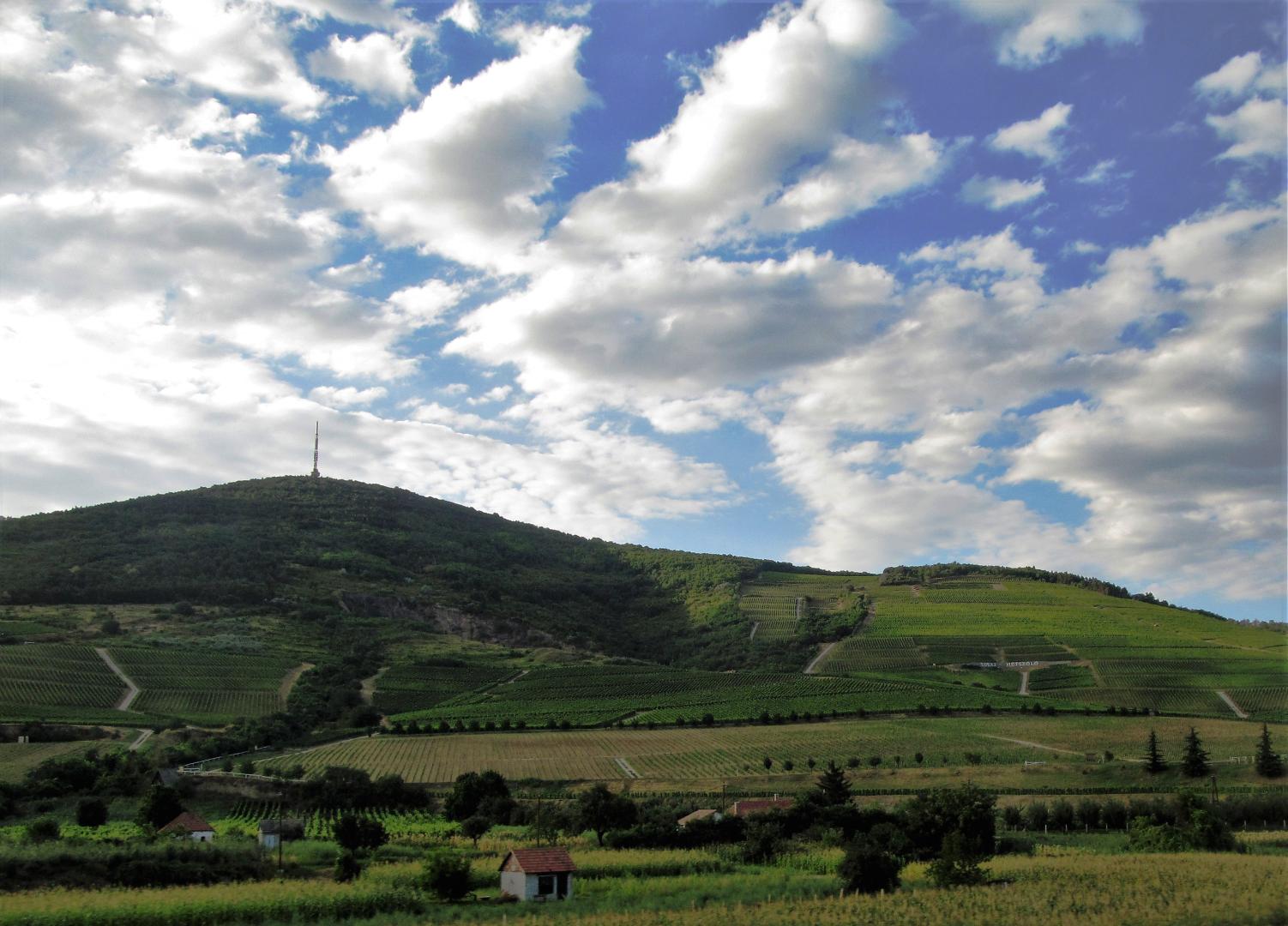 Tokaj-Hegyalja