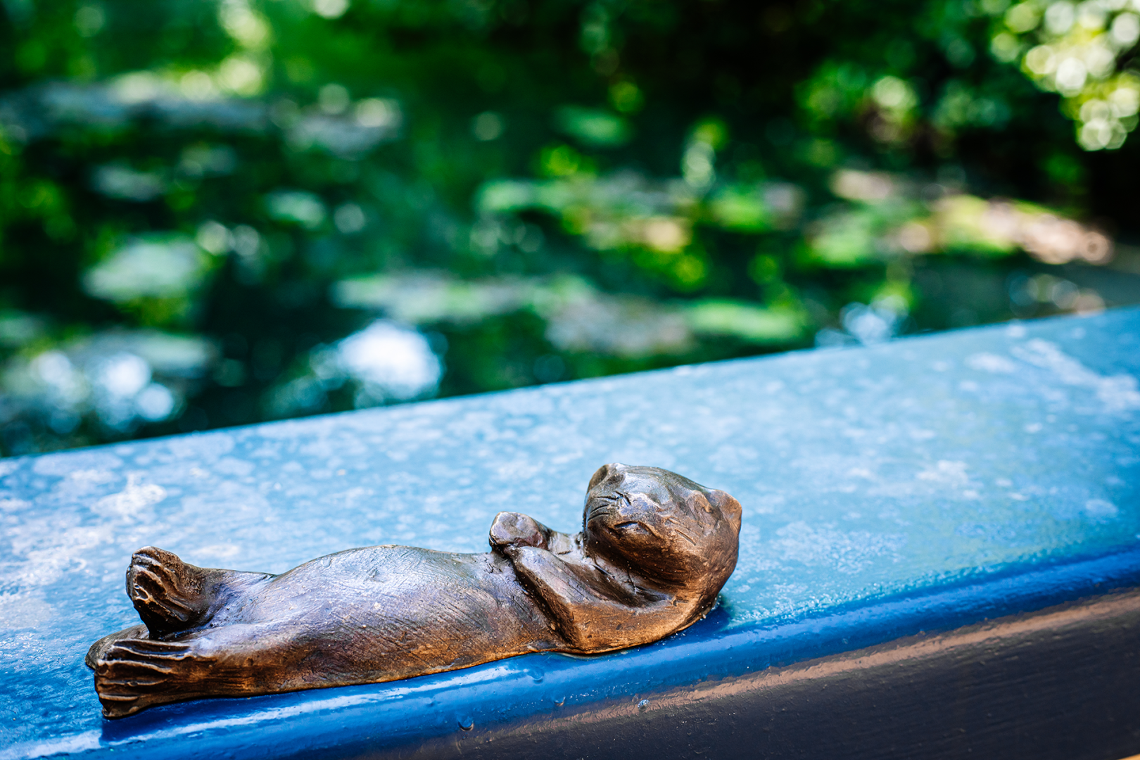 Otter