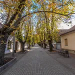 Diósgyőr