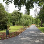 Zöld város kialakítása Miskolc-Tapolca akcióterületen