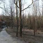 A Miskolci Állatkert és Kultúrpark ökoturisztikai fejlesztése
