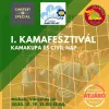 A mozgalmas miskolcikum: kamázás a Szent István-szobornál A mozgalmas miskolcikum: kamázás a Szent István-szobornál