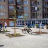 Részvételi költségvetés: Már rügyeznek az elkészült Vörösmarty Liget fái Részvételi költségvetés: Már rügyeznek az elkészült Vörösmarty Liget fái