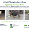 Nyílt nap a Miskolci Állategészségügyi Telepen