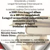Meghívó - A 100 éves lengyel állam és a 20 éve megalakult Lengyel nemzetiségi önkormányzat tiszteletére rendezett magyar-lengyel irodalmi délutánra