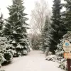Avasi Arborétum