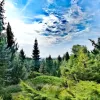 Avasi Arborétum
