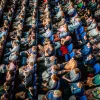 Cinefest Miskolci Nemzetközi Filmfesztivál
