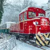 Lillafüredi Állami Erdei Kisvasút