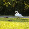 Miskolctapolcai parkrendszer