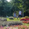 Miskolctapolcai parkrendszer