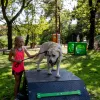 Horváth-tető Szabadidőpark