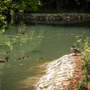 Miskolctapolcai parkrendszer