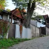 Wine Cellars of Avas
