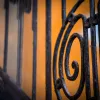 A Fekete kutya és a Weidlich-palota