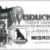 A Fekete kutya és a Weidlich-palota