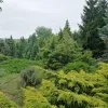 Avasi Arborétum