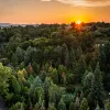 Avasi Arborétum